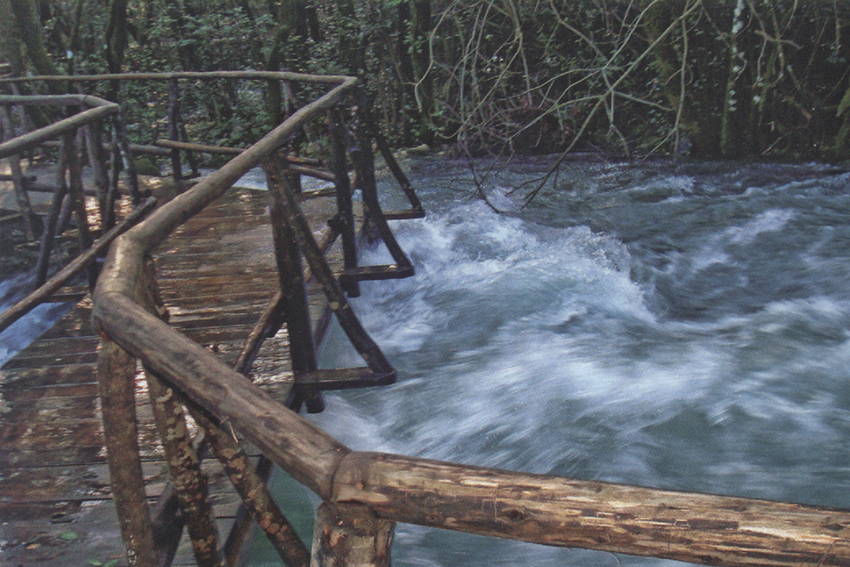 image02