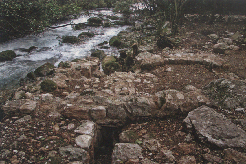 image06