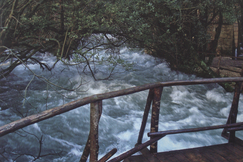 image07