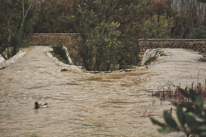 image08