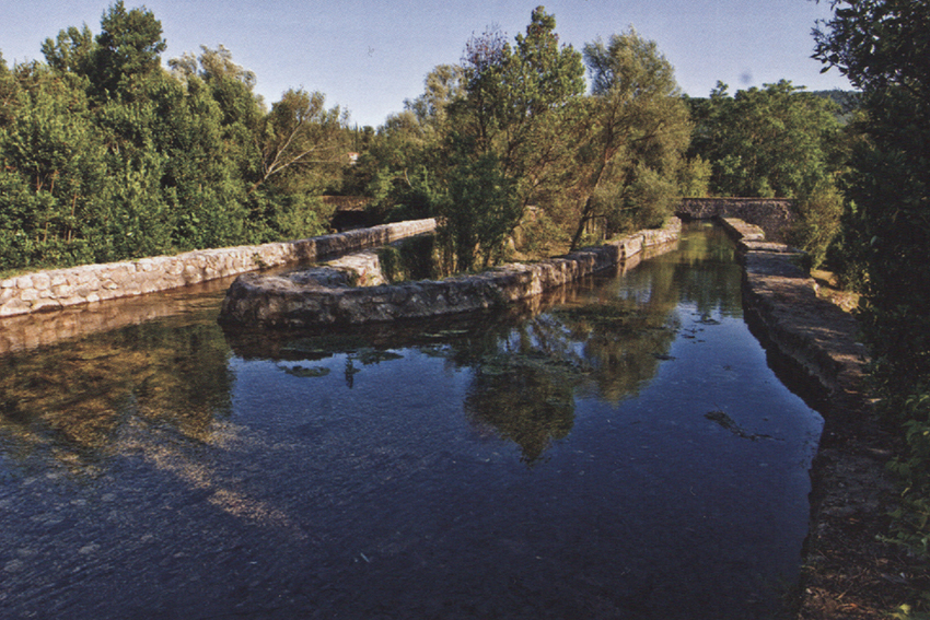 image09