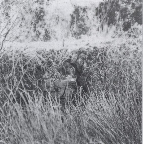 image03
