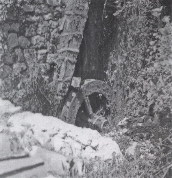 image06