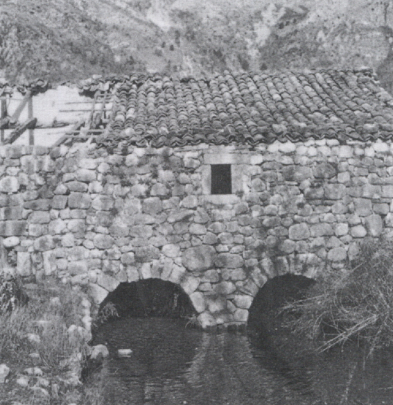 image06