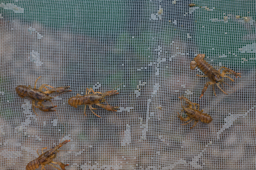 image01